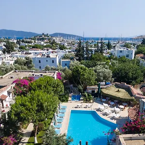 Hotell Moonshine &